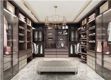 Contemporary Closet Storage Cabinet