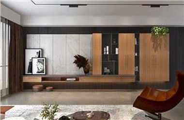Living Room TV Armoire