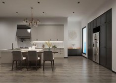 Shaker Style Kitchen Cabinet