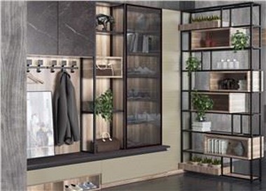 Modern Entryway Shoe Cabinets