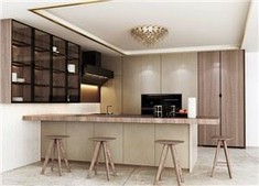 Modern Slab Kitchen Cabinets
